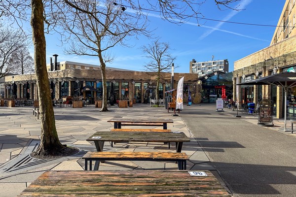 Medium property photo - Hijmans van den Berghlaan 190, 3571 PG Utrecht